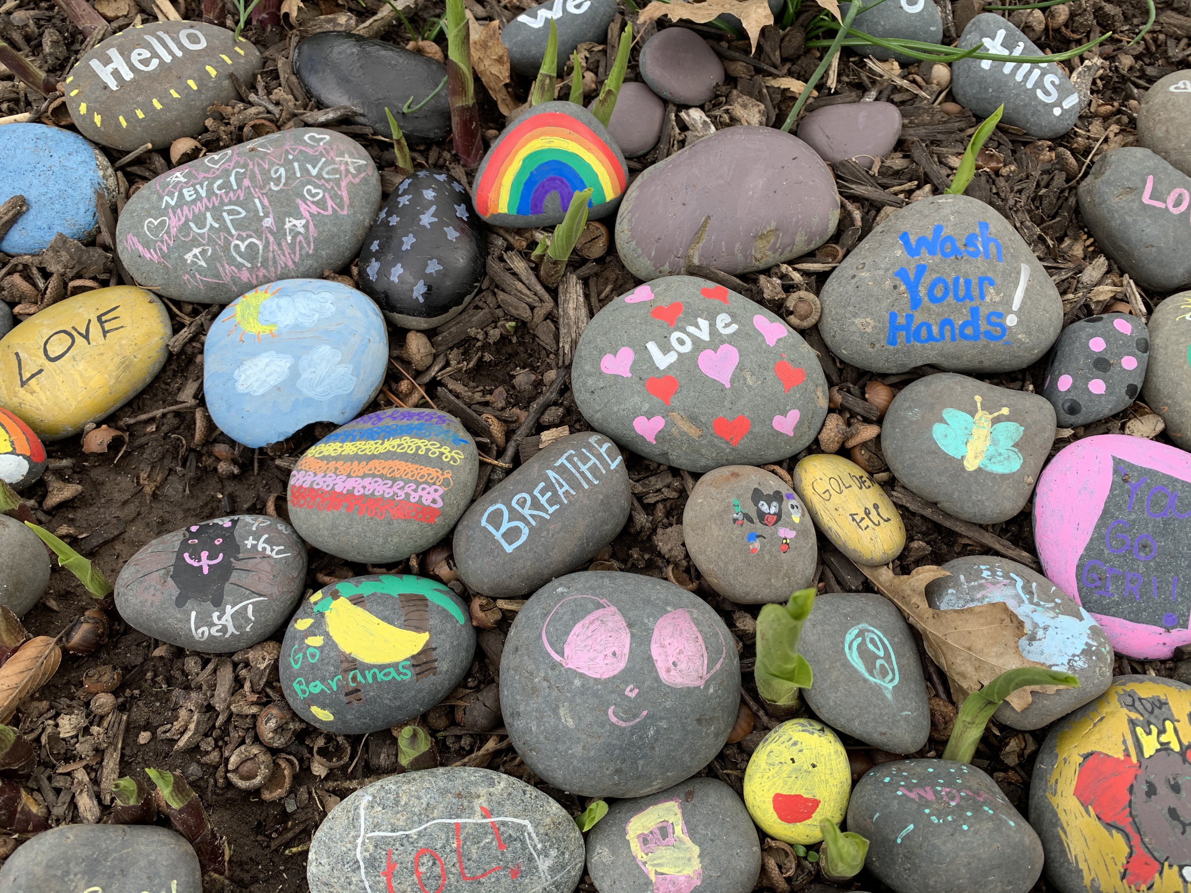 Paied Rocks Inspiring Painted Rocks