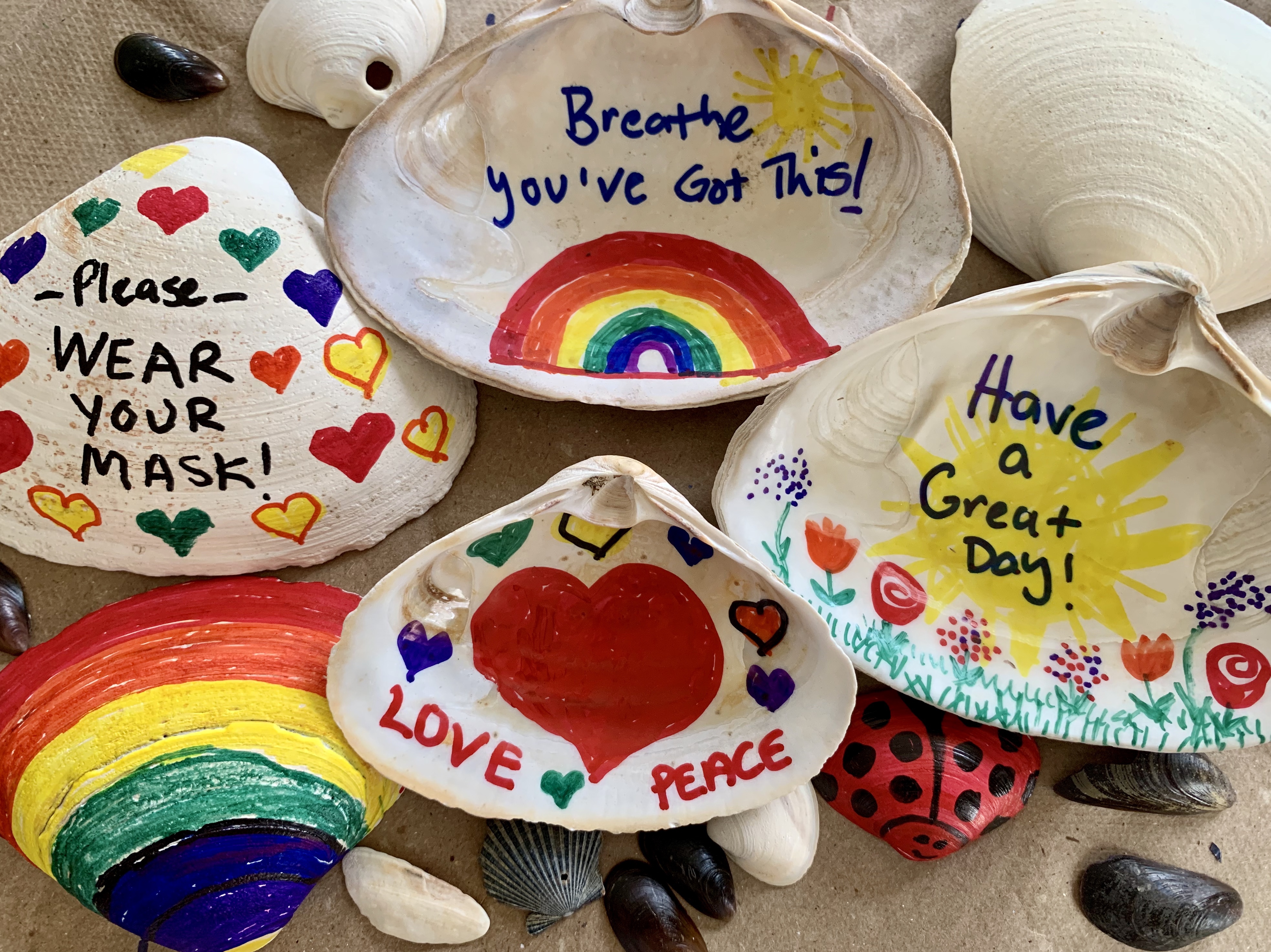 Shell Creatives Inspiring Sea Shells